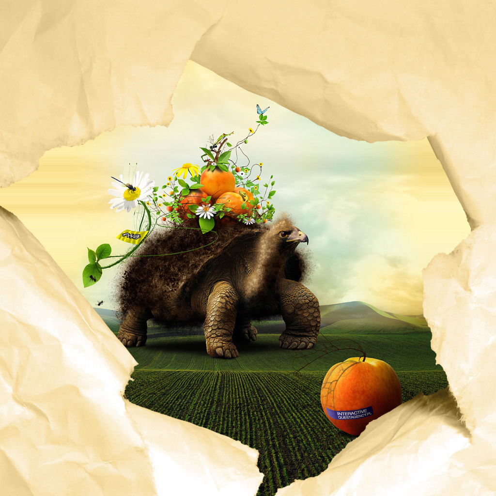 Черепаха и персики