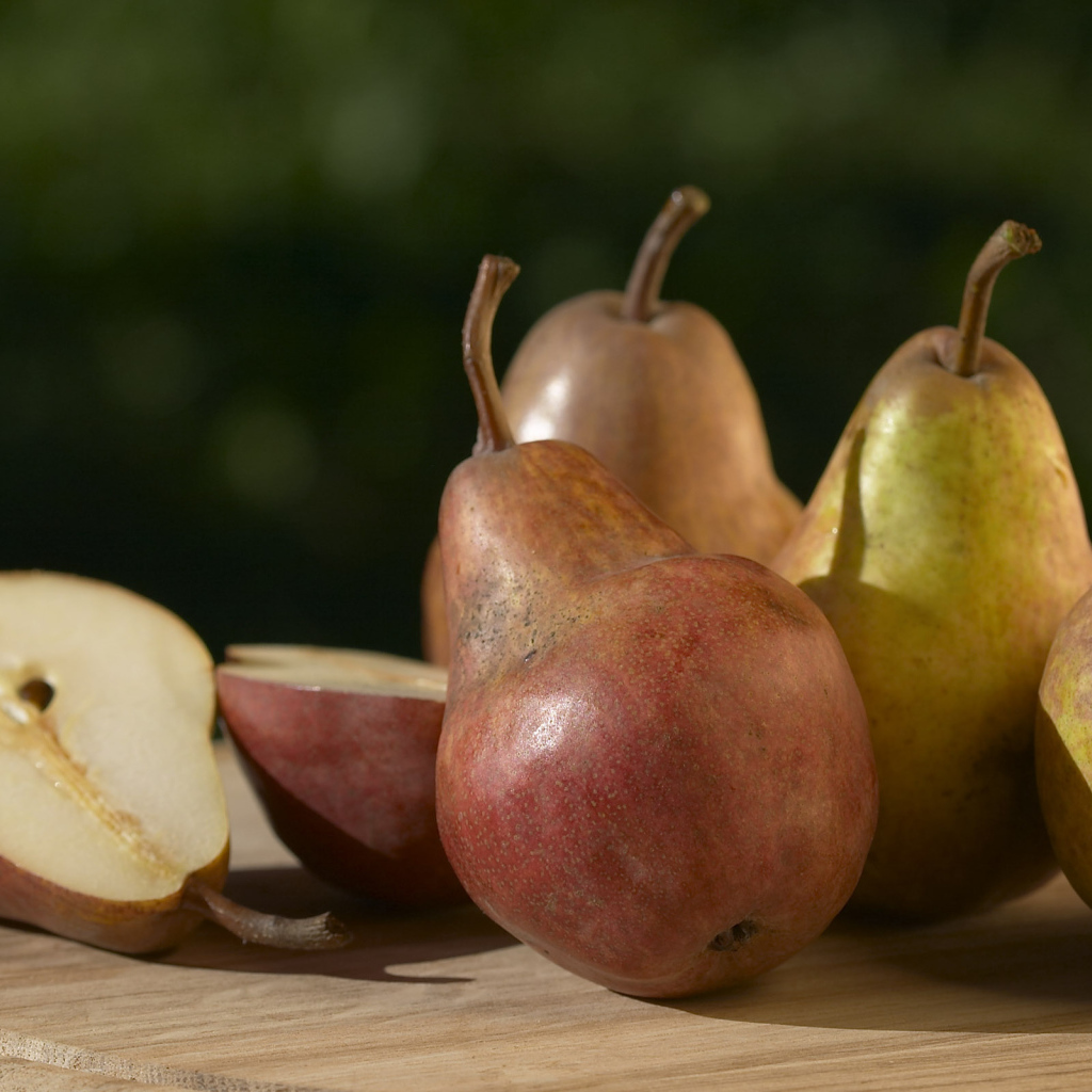 Груши