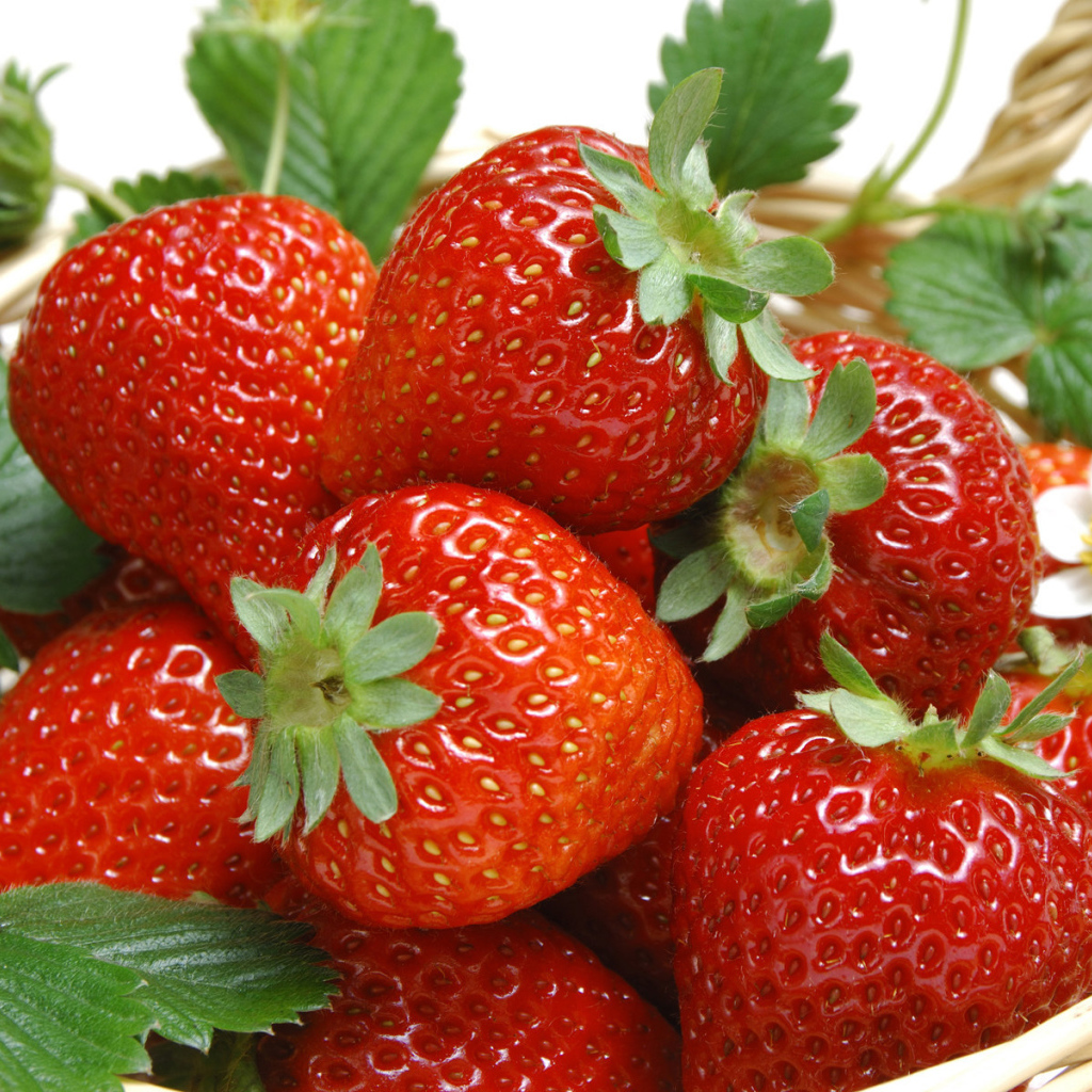 Спелая клубника