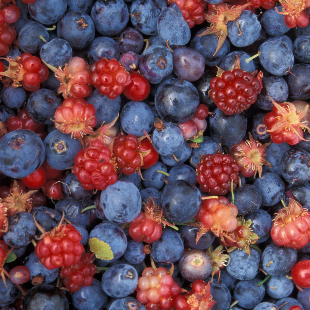 Лесное ассорти