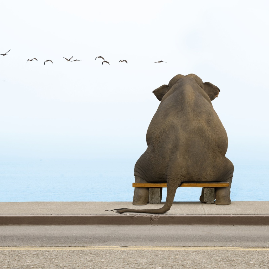 Слон на скамеечке