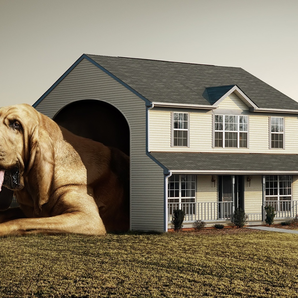 Дом для собаки Будка Конура