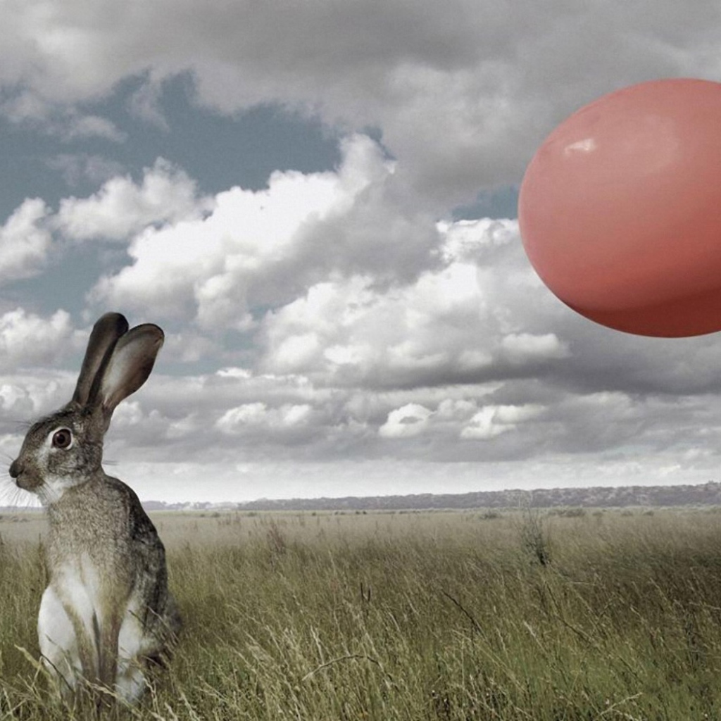 Мгновение до испуга