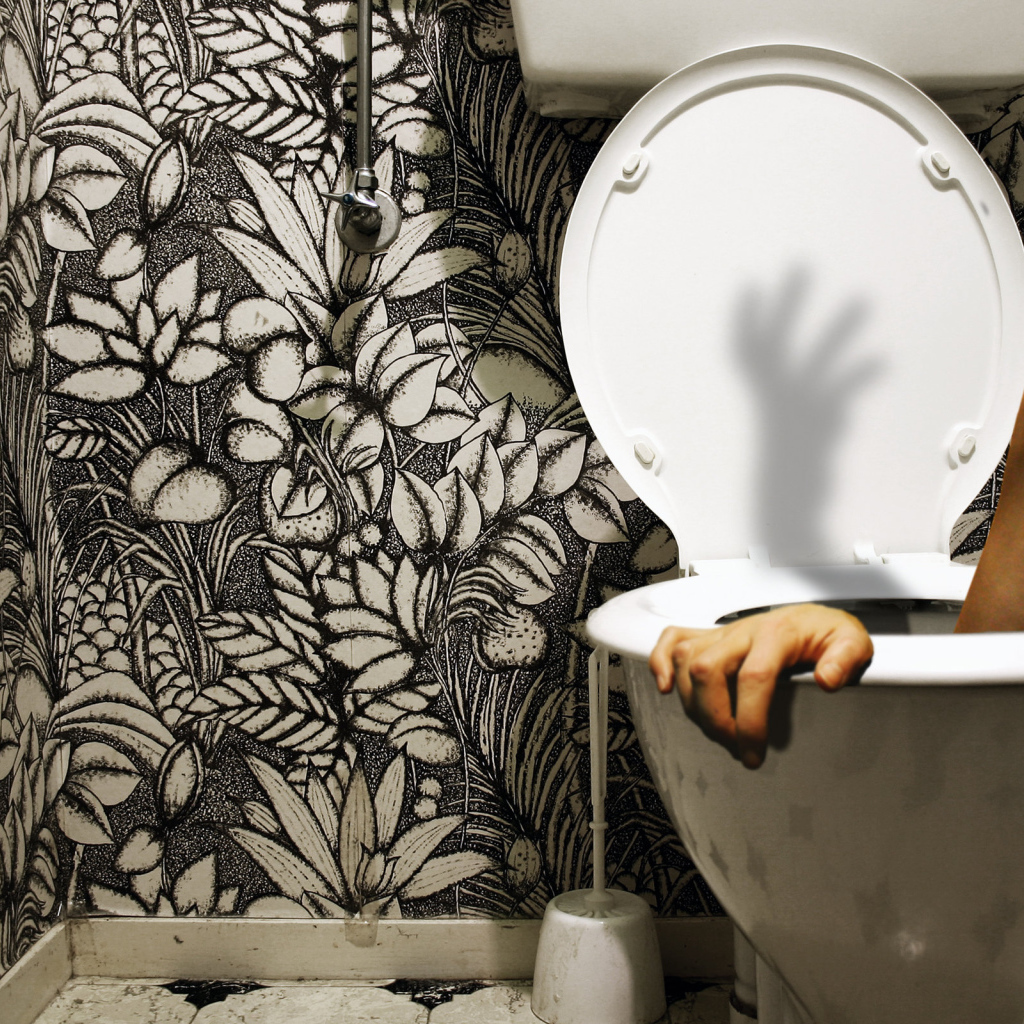 Спасение в туалете