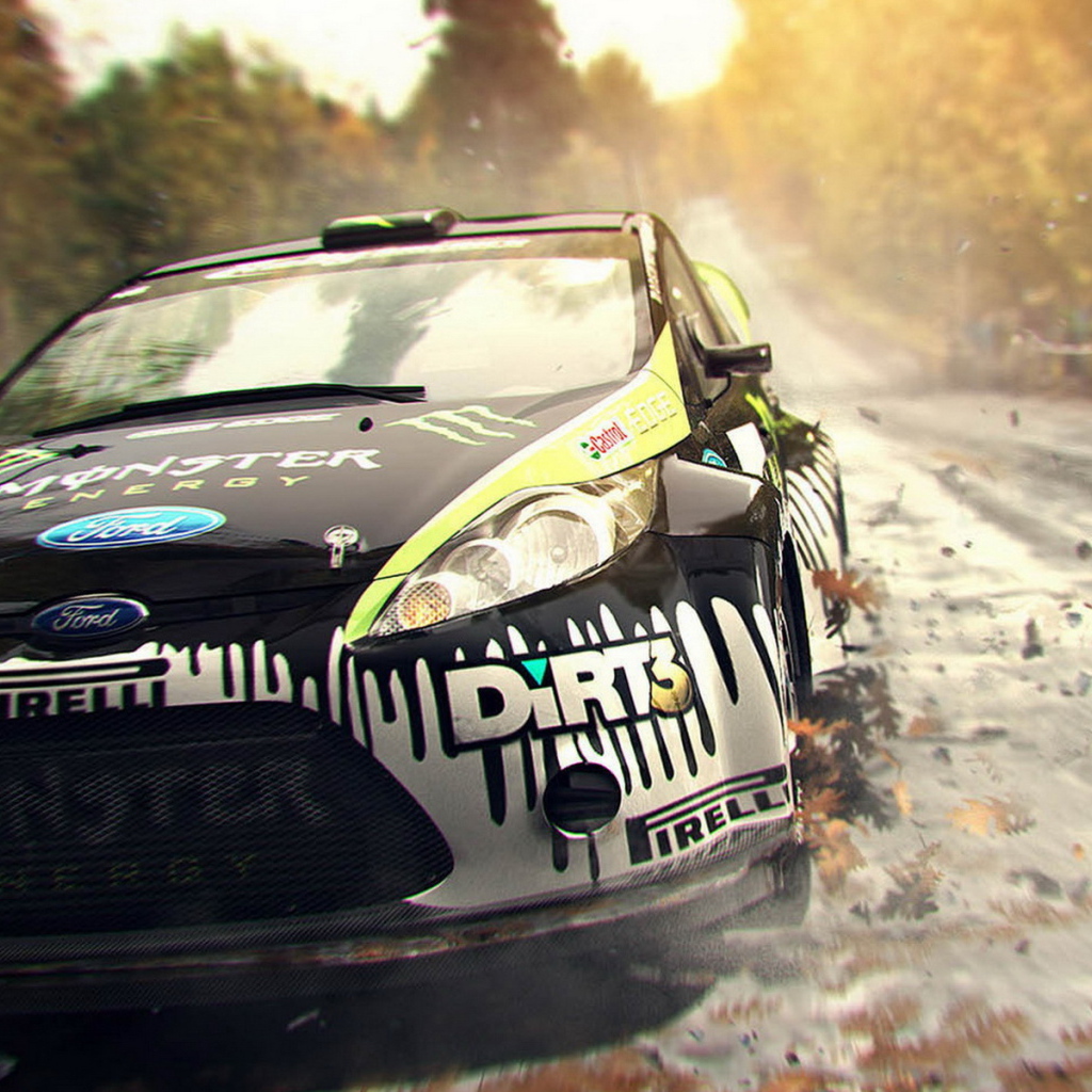 симулятор Colin McRae: Dirt 3