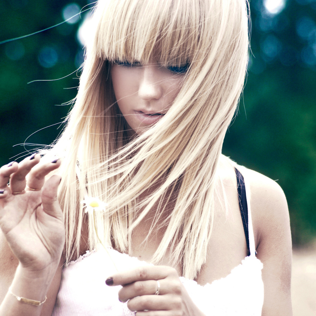 Гадая на ромашке