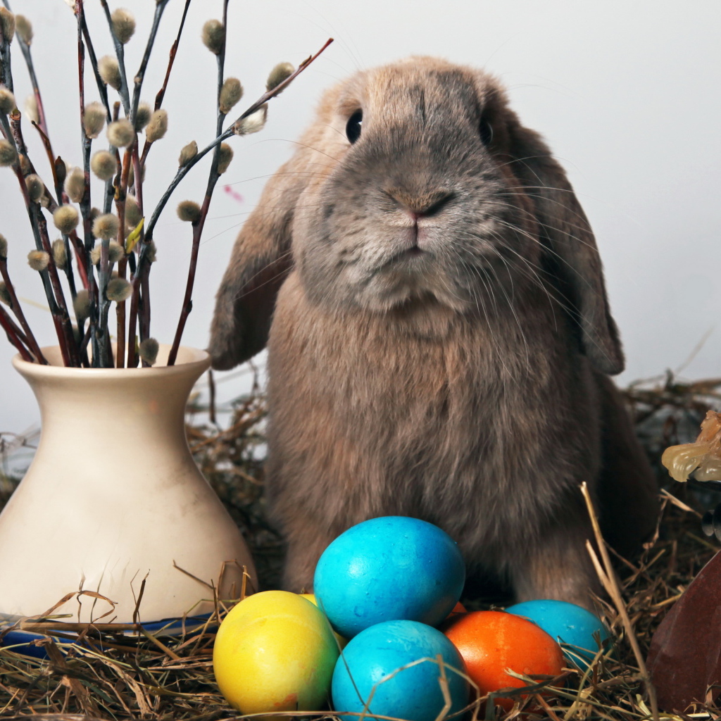Пасхальный кролик