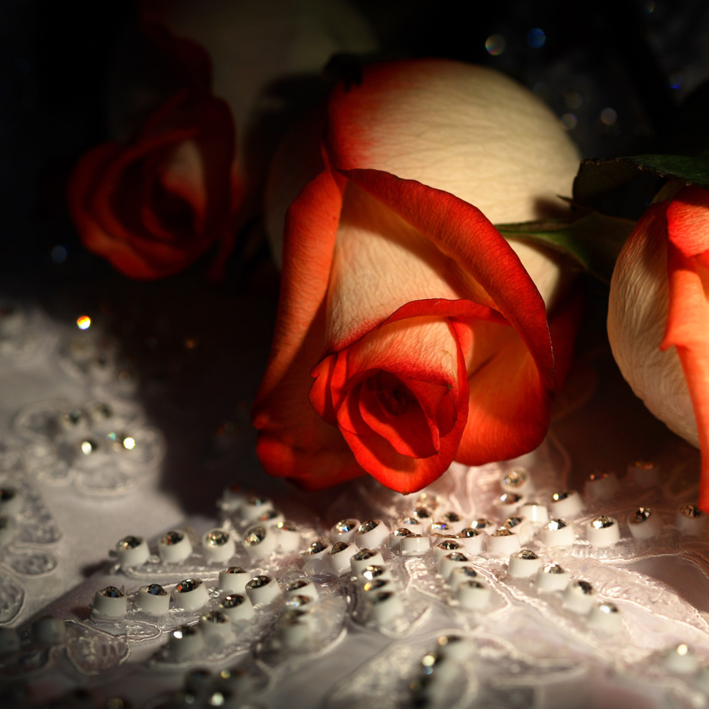 Красивые цветы девушкам