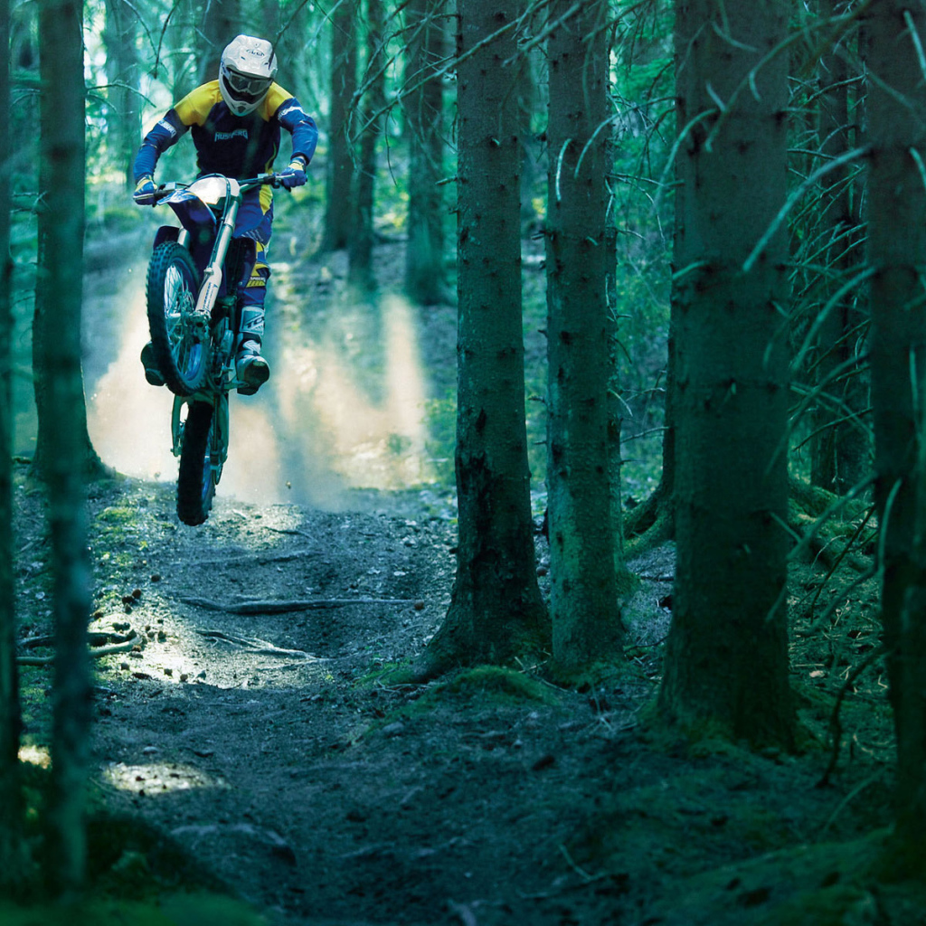 Гонка в лесу