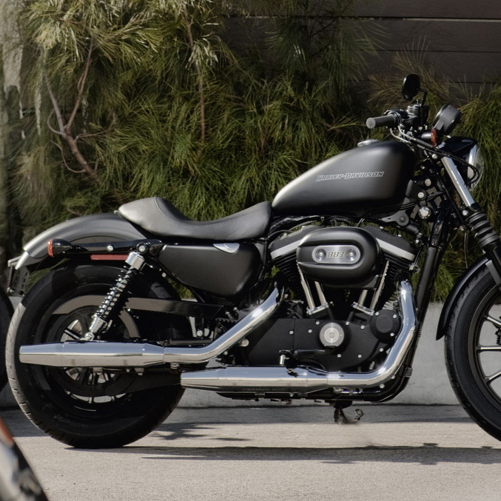 Харлей Девидсон 883
