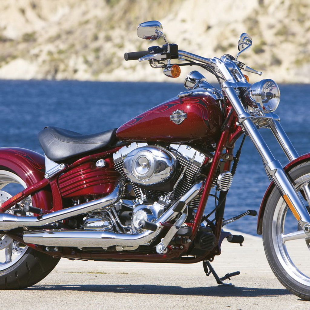 Харлей Девидсон FXCWC