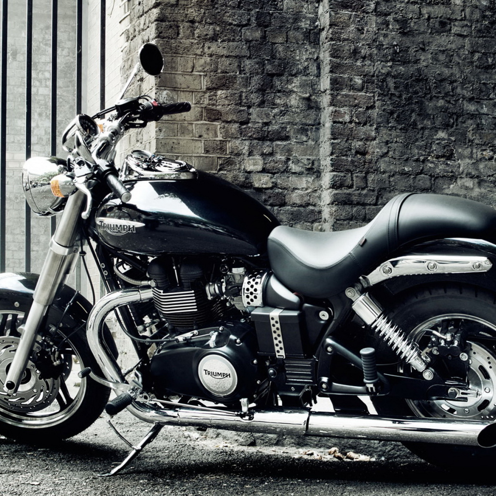 Triumph Speedmaster 2010