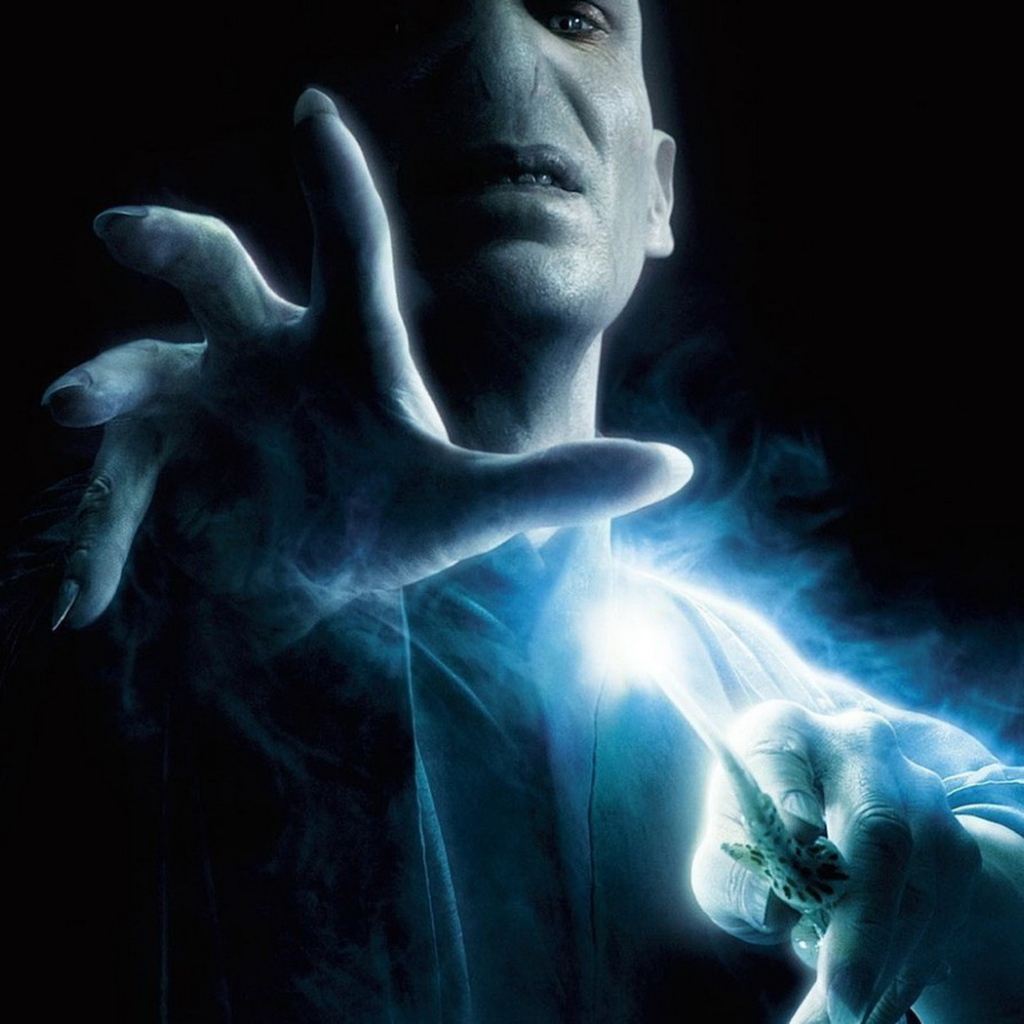 Гарри Поттер, Волан де Морт