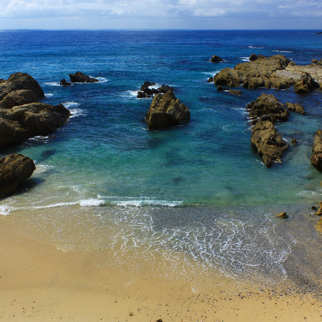 На берегу моря