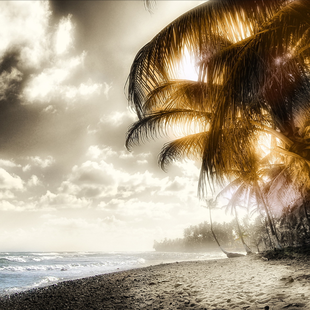 Пляж и пальмы