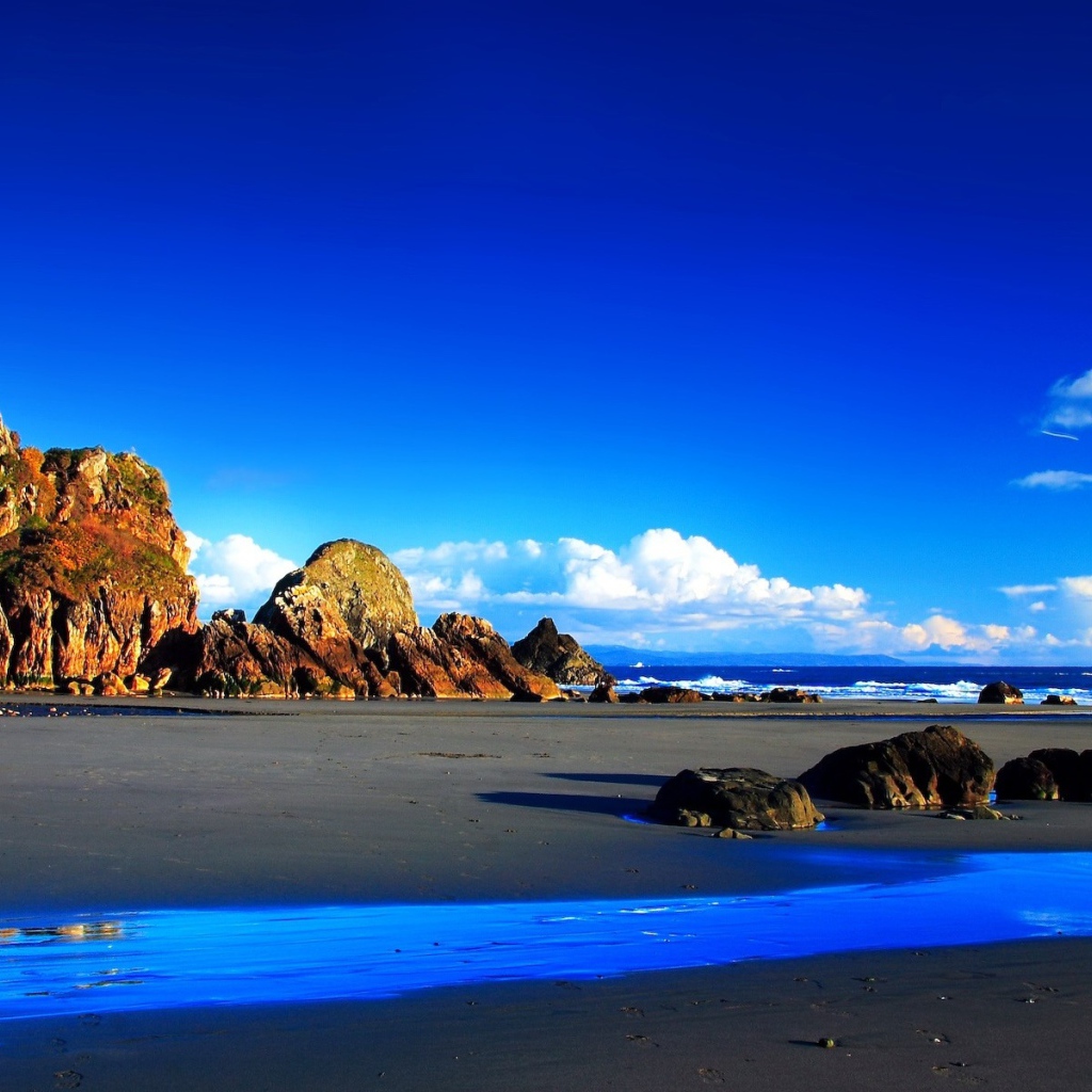 Яркие краски побережья