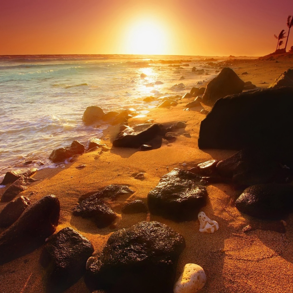 Заброшенный пляж