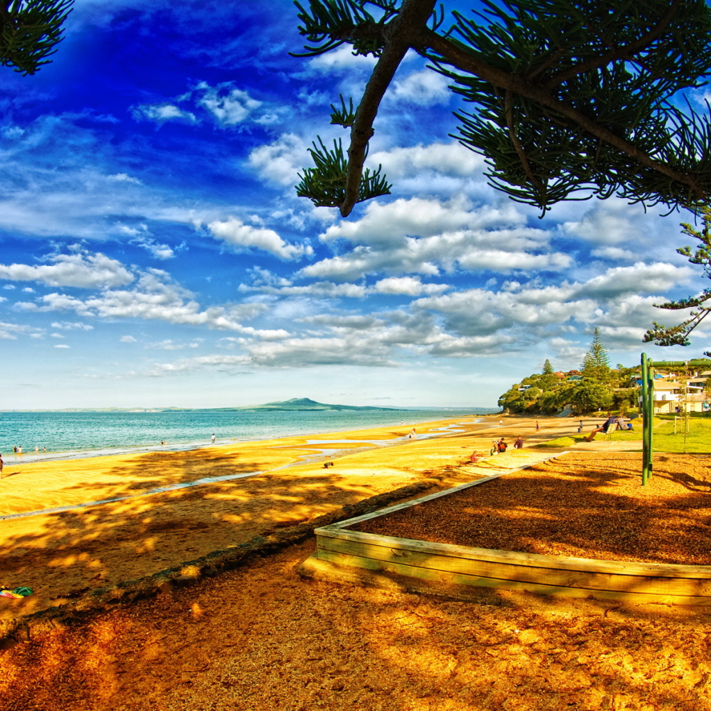 В тени деревьев