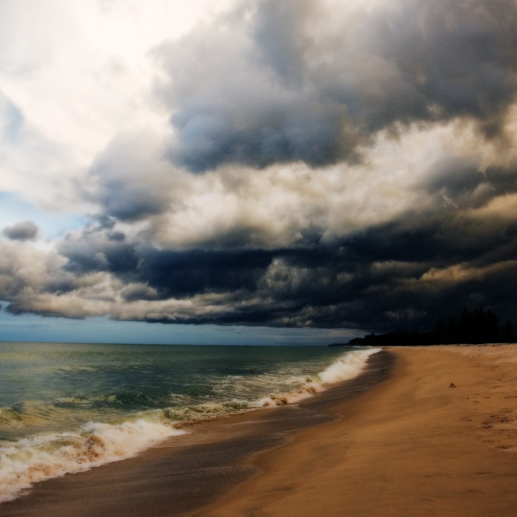 На пляже после шторма