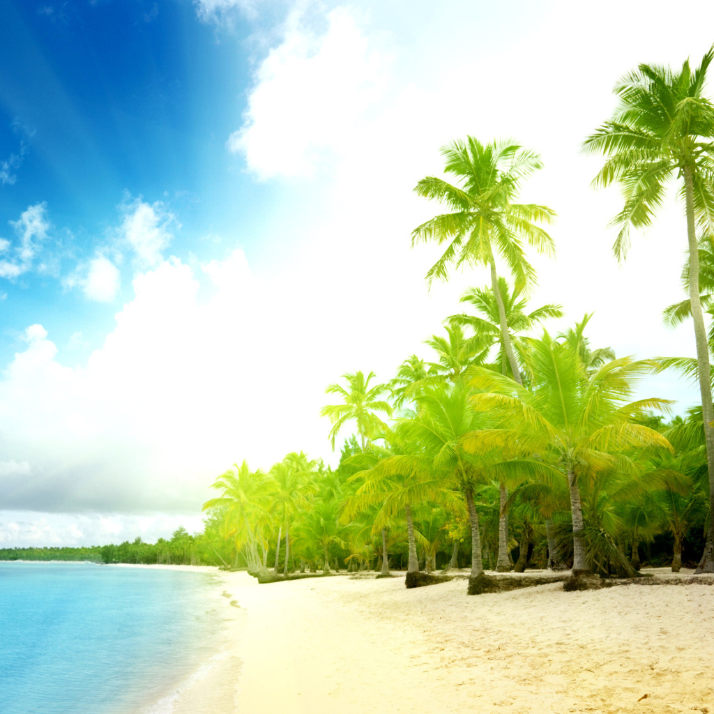 Пальмы на пляже