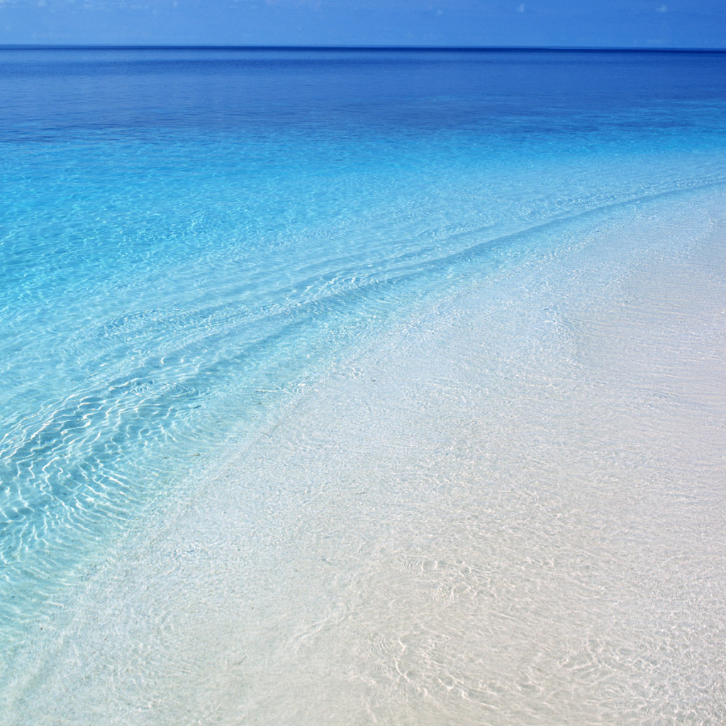 Лучезарный берег