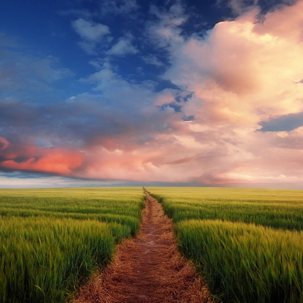 Тропинка через поле