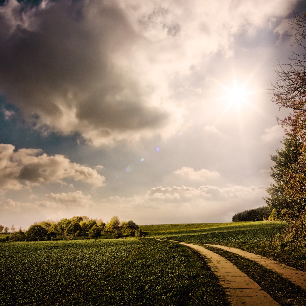 Дорога в поле