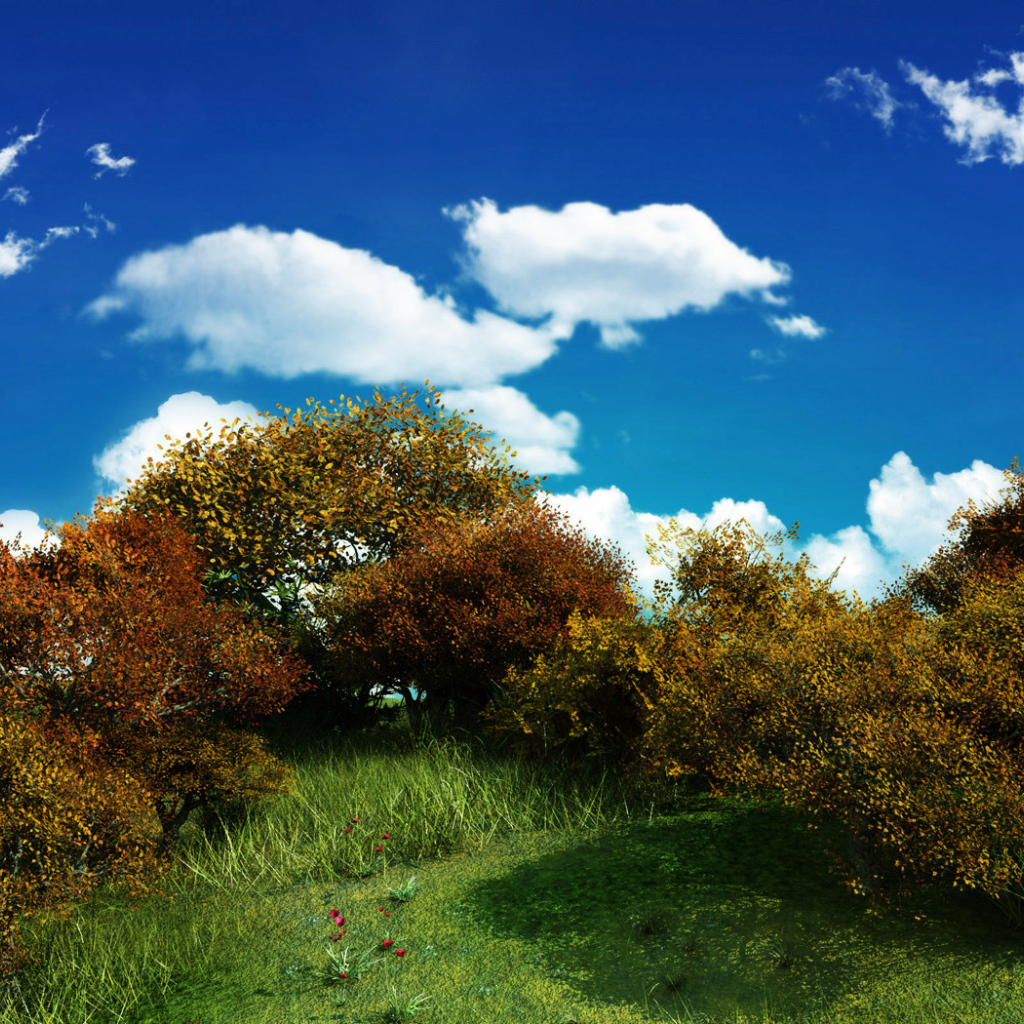 Кустарники на фоне голубого неба