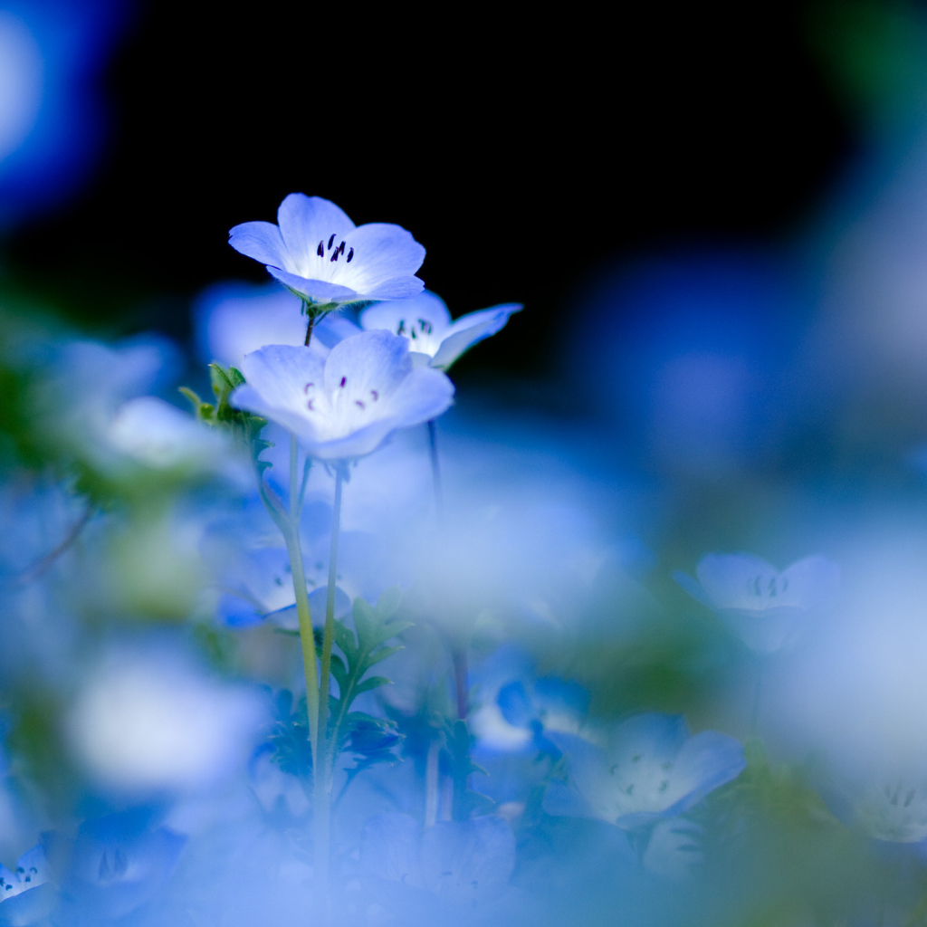 Голубые цветы на нежном фоне