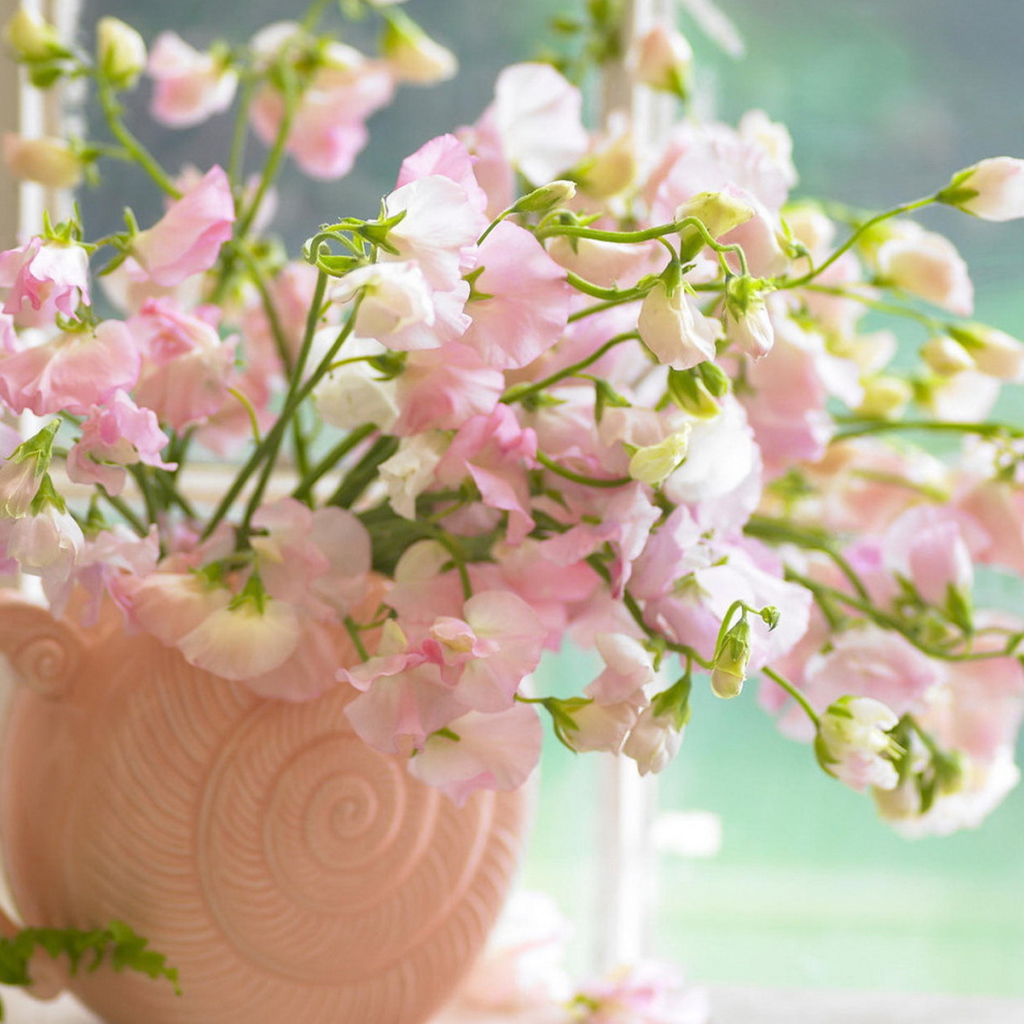 Цветы в розовой вазе