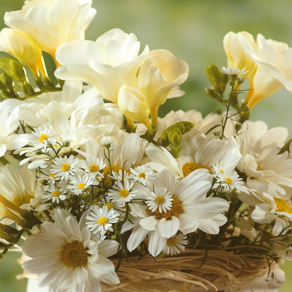 Нежный букет