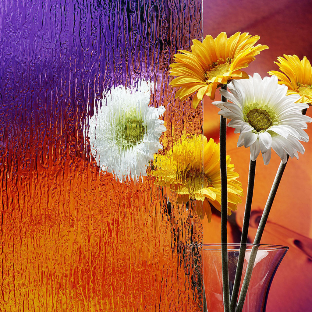 Герберы в вазе