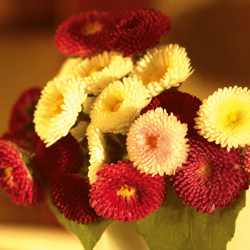 Маленький букетик