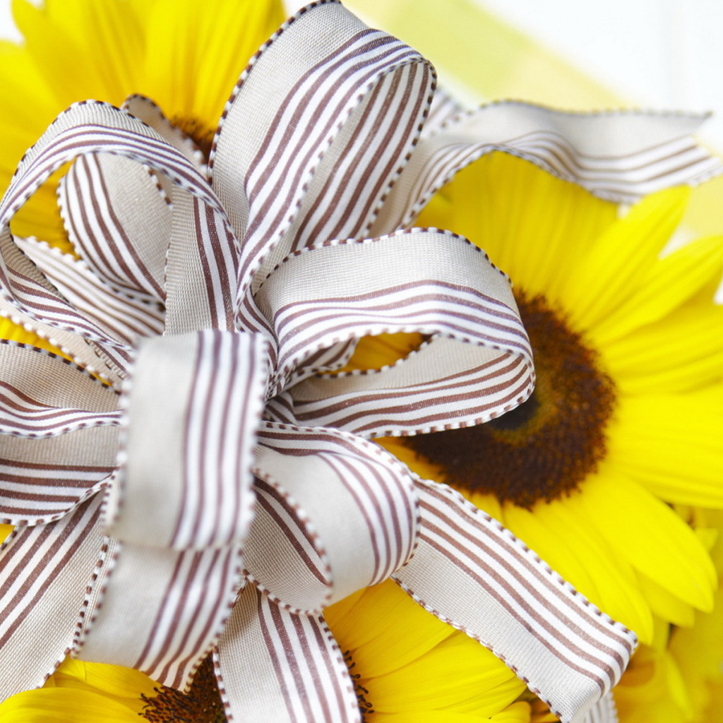 Солнечный подарок