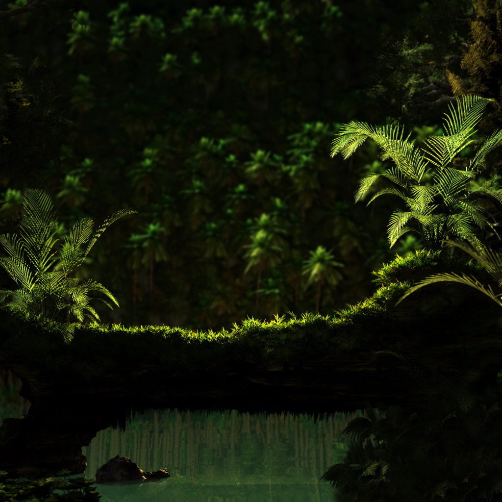 Тропический лес