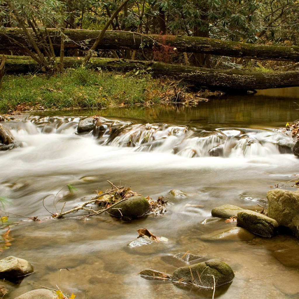 Маленькая речка