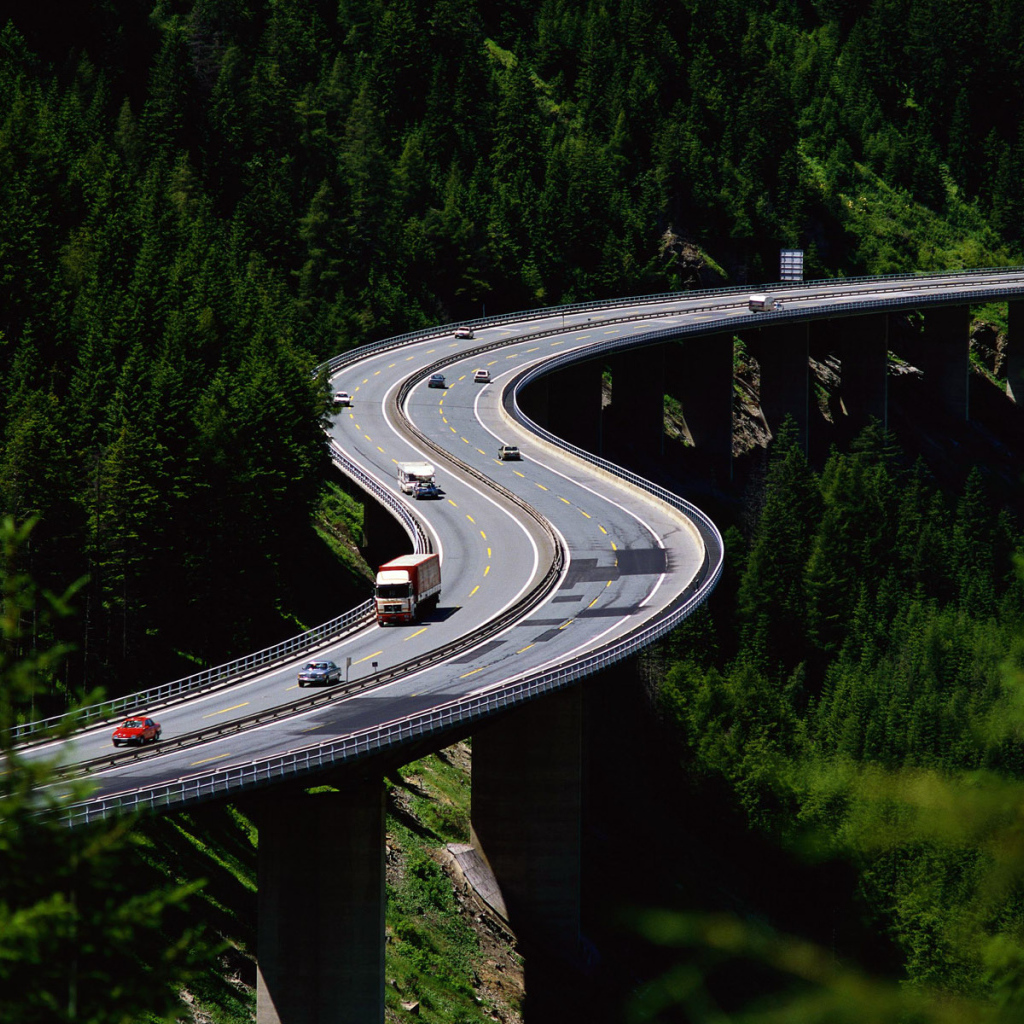 Возвышаясь над деревьями