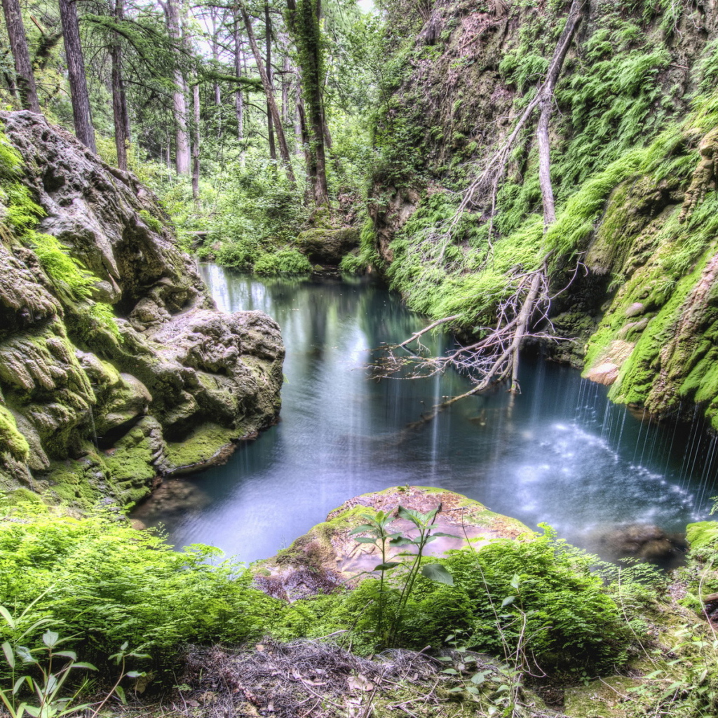 Лес, каменные склоны, ручей