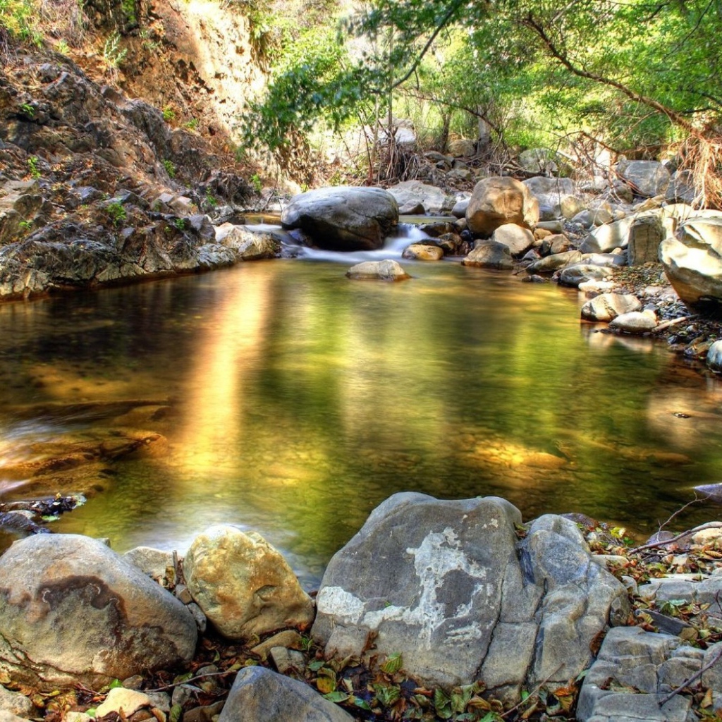 Лесной ручей