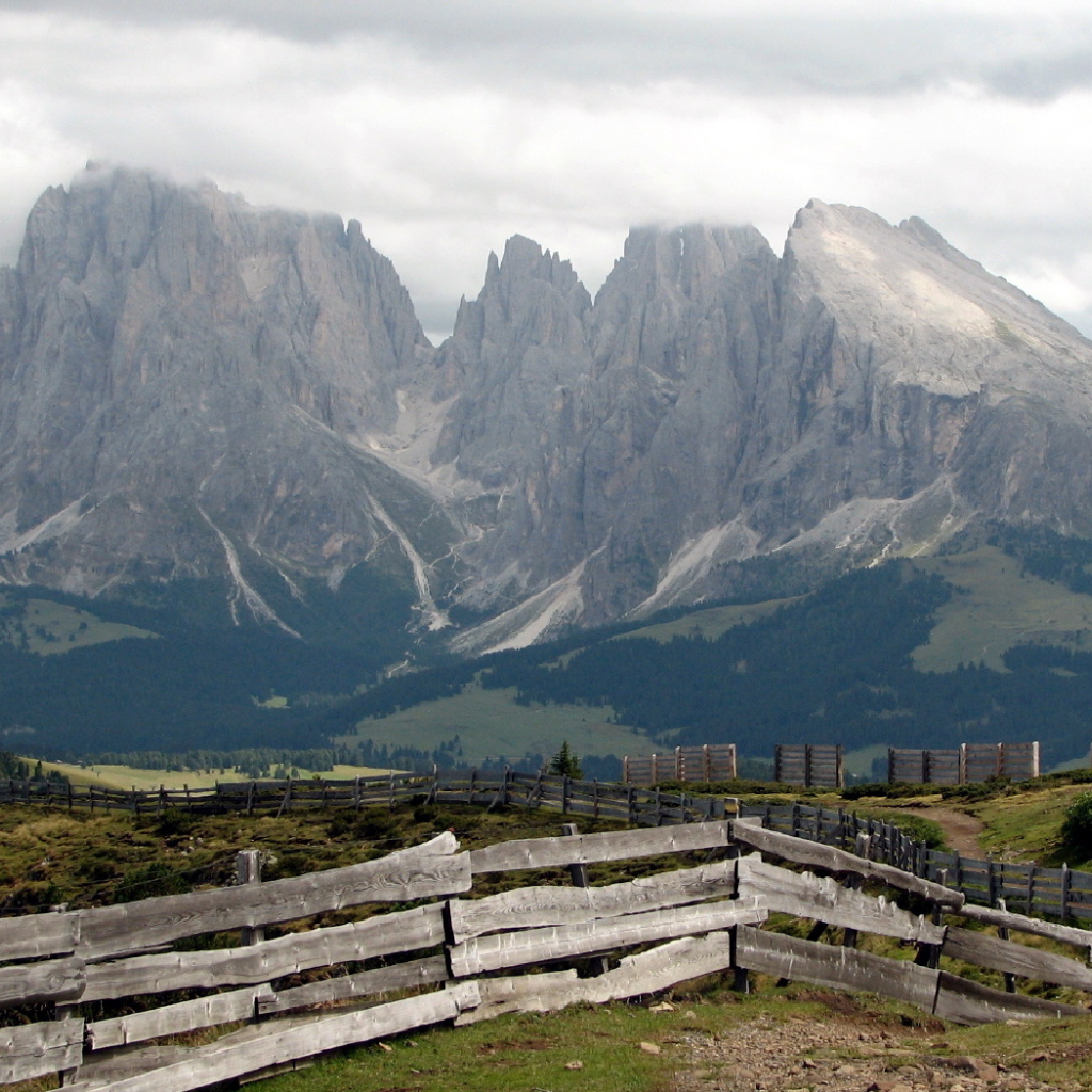 Забор уходящий ввысь