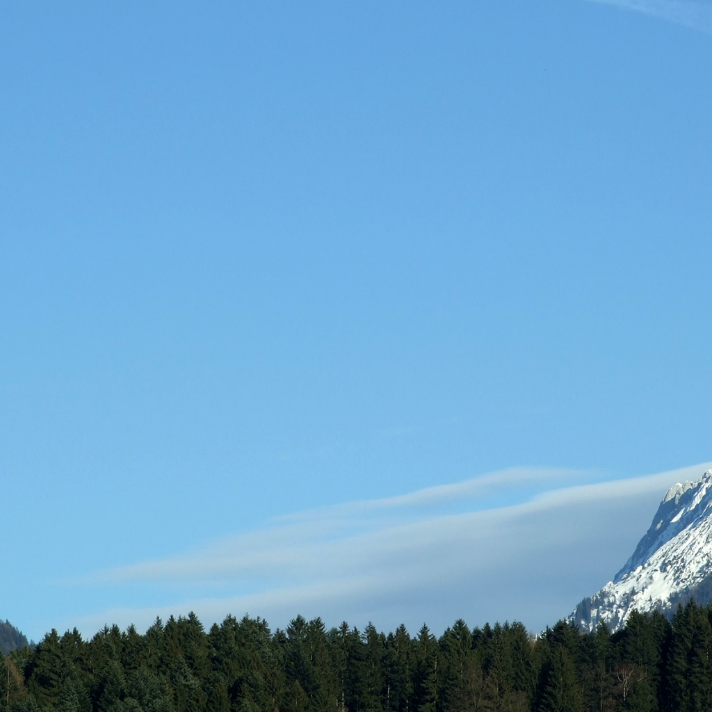 Гора над лесом