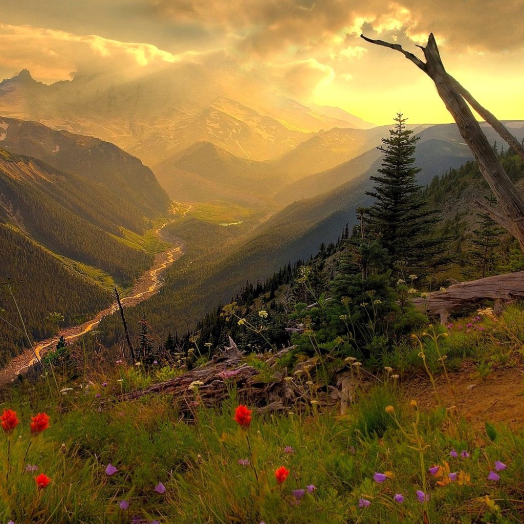 Горная долина