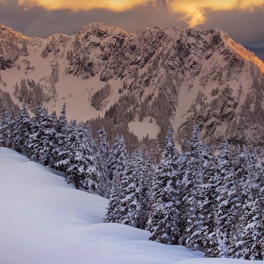 Горная свежесть