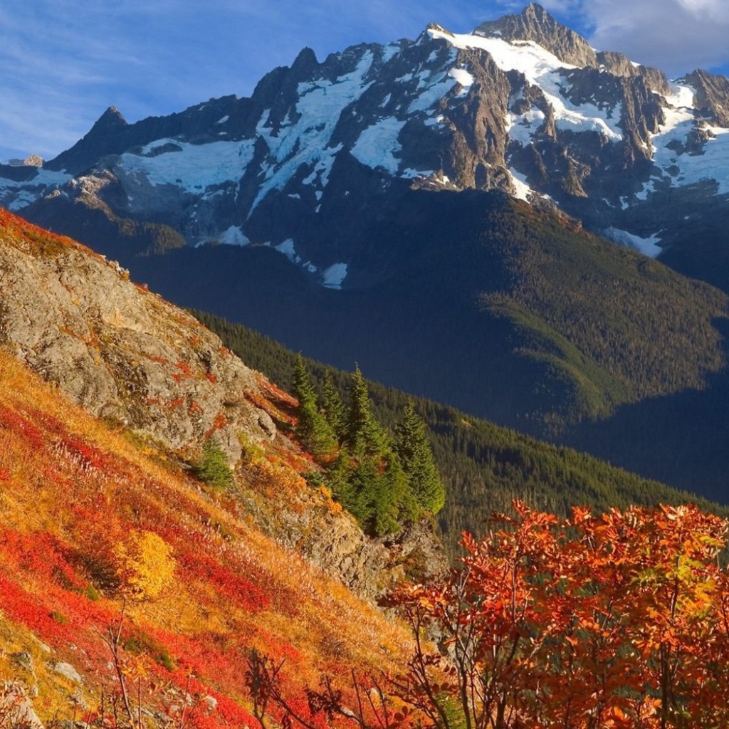 Оранжевый склон