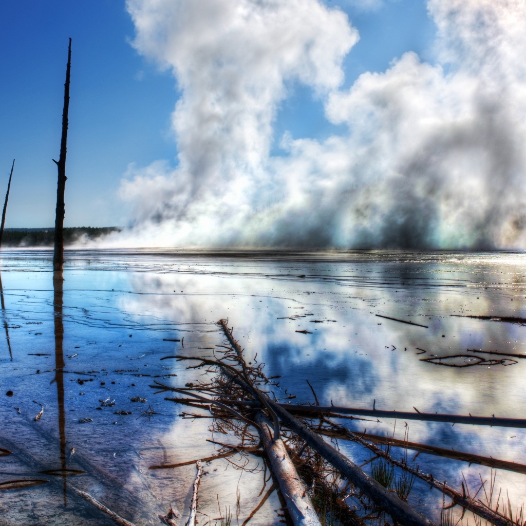 Среди лесов