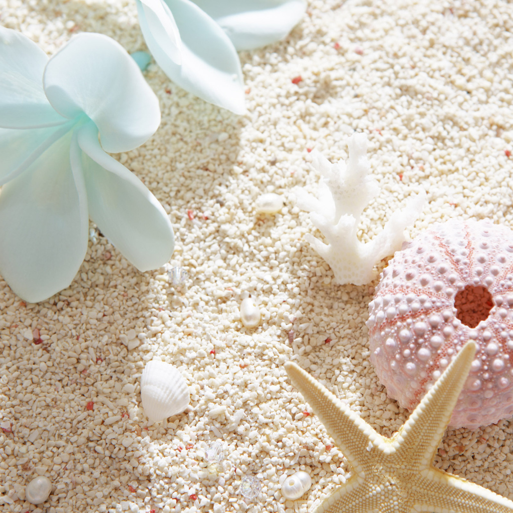 Красоты морского дна