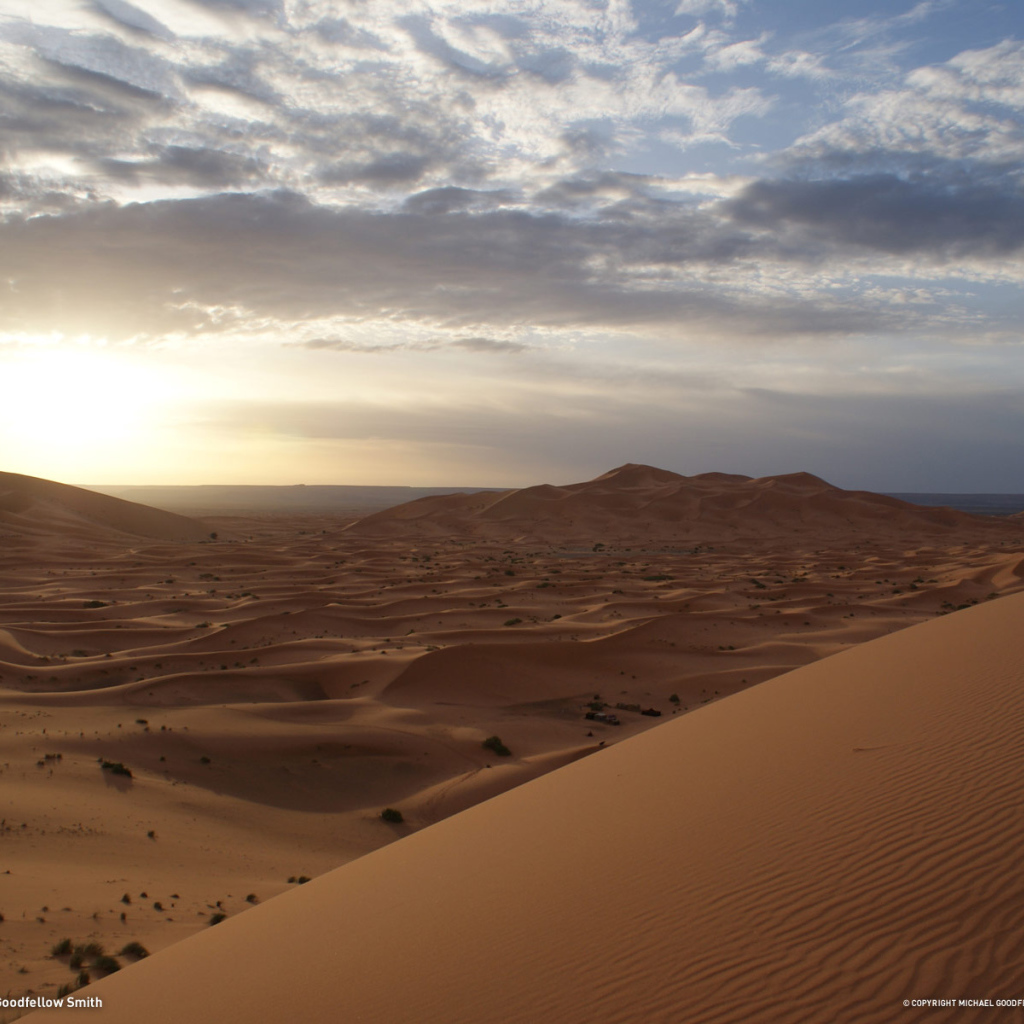 Дюны Пустыня