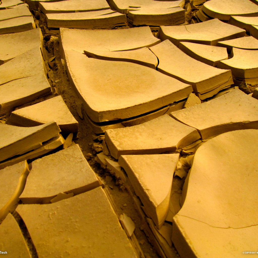 Сухая земля