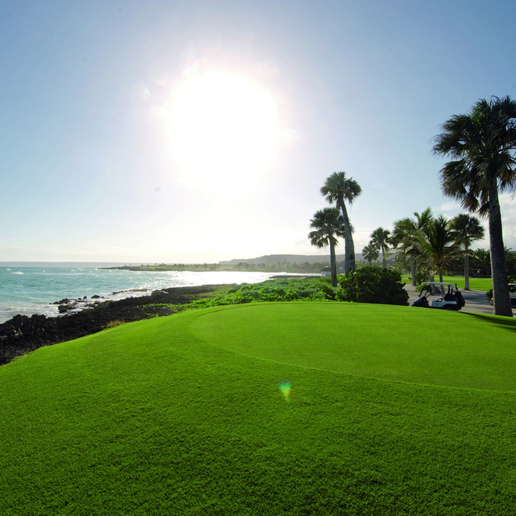 Поля для гольфа