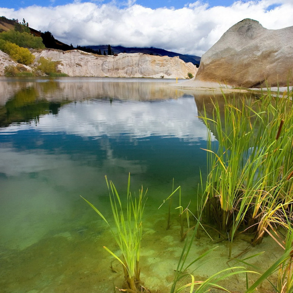 Зеленая вода